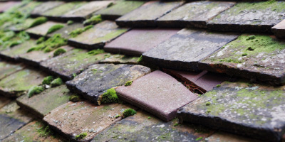 Langney roof repair costs
